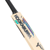 KOOKABURRA Prism Pro 1.0 English Willow Cricket Bat '26/27 - Adult