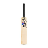 KOOKABURRA Prism Pro 1.0 English Willow Cricket Bat '26/27 - Adult