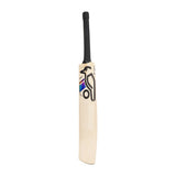 KOOKABURRA Prism Pro 5.0 English Willow Cricket Bat '26/27 - Adult