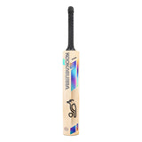 KOOKABURRA Prism Pro 7.0 English Willow Cricket Bat '26/27 - Junior