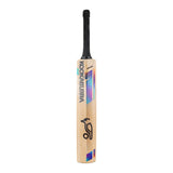 KOOKABURRA Prism Pro 8.0 Kashmir Willow Cricket Bat '26/27