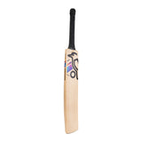 KOOKABURRA Prism Pro 8.0 Kashmir Willow Cricket Bat '26/27