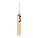 KOOKABURRA Ghost Players Replica Marnus Labuschagne English Willow Cricket Bat '26/27 - Junior