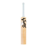 KOOKABURRA Ghost Players Replica Marnus Labuschagne English Willow Cricket Bat '26/27 - Junior
