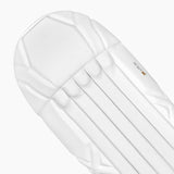 DSC Xlite 95 Wicket Keeping Leg Guards '24/25 [Sizes Youth - Adult]