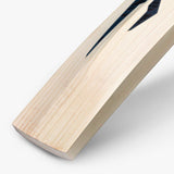 DSC Blak 22 Grade 2 English Willow Cricket Bat '26/27 - Adult