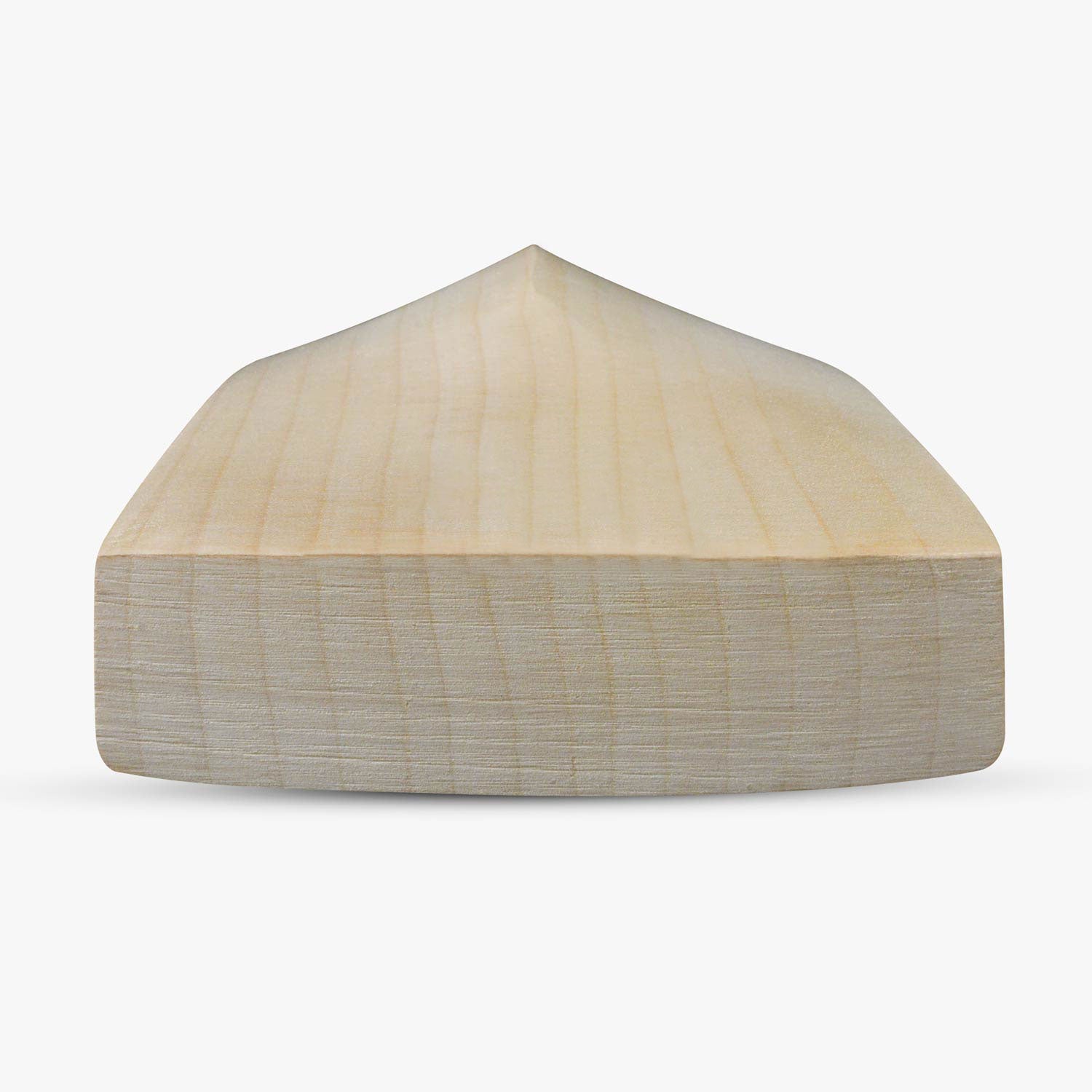 DSC Blak 77 Grade 4 English Willow Cricket Bat '26/27 - Small Adult