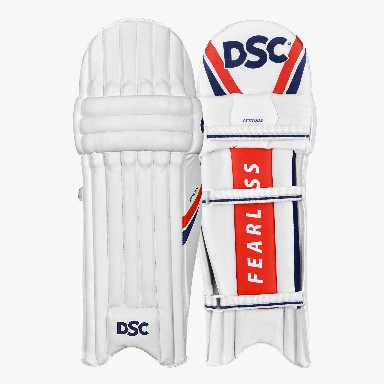 DSC Economy Kashmir Willow Cricket Kit '26/27