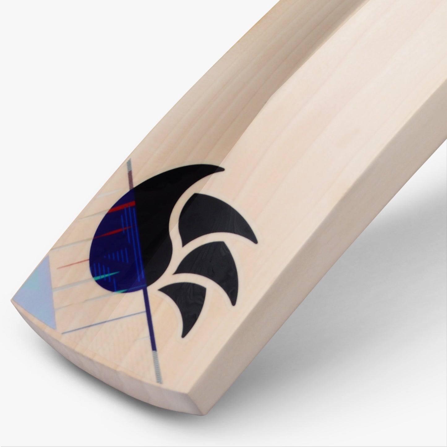 DSC Cynos 4040 Grade 1 English Willow Cricket Bat '24/25 - Compact [Women SH]
