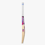 DSC Intense Middler Cricket Bat Kashmir Willow - Short Handle