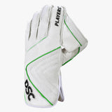 DSC Spliit Players Wicket Keeping Gloves '25/26 - Adult