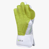 DSC Xlite 35 Wicket Keeping Gloves '25/26