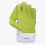 DSC Xlite 35 Wicket Keeping Gloves '25/26