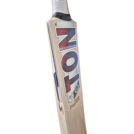 SS Phil Salt Gama Players Grade 3 English Willow Cricket Bat - Adult