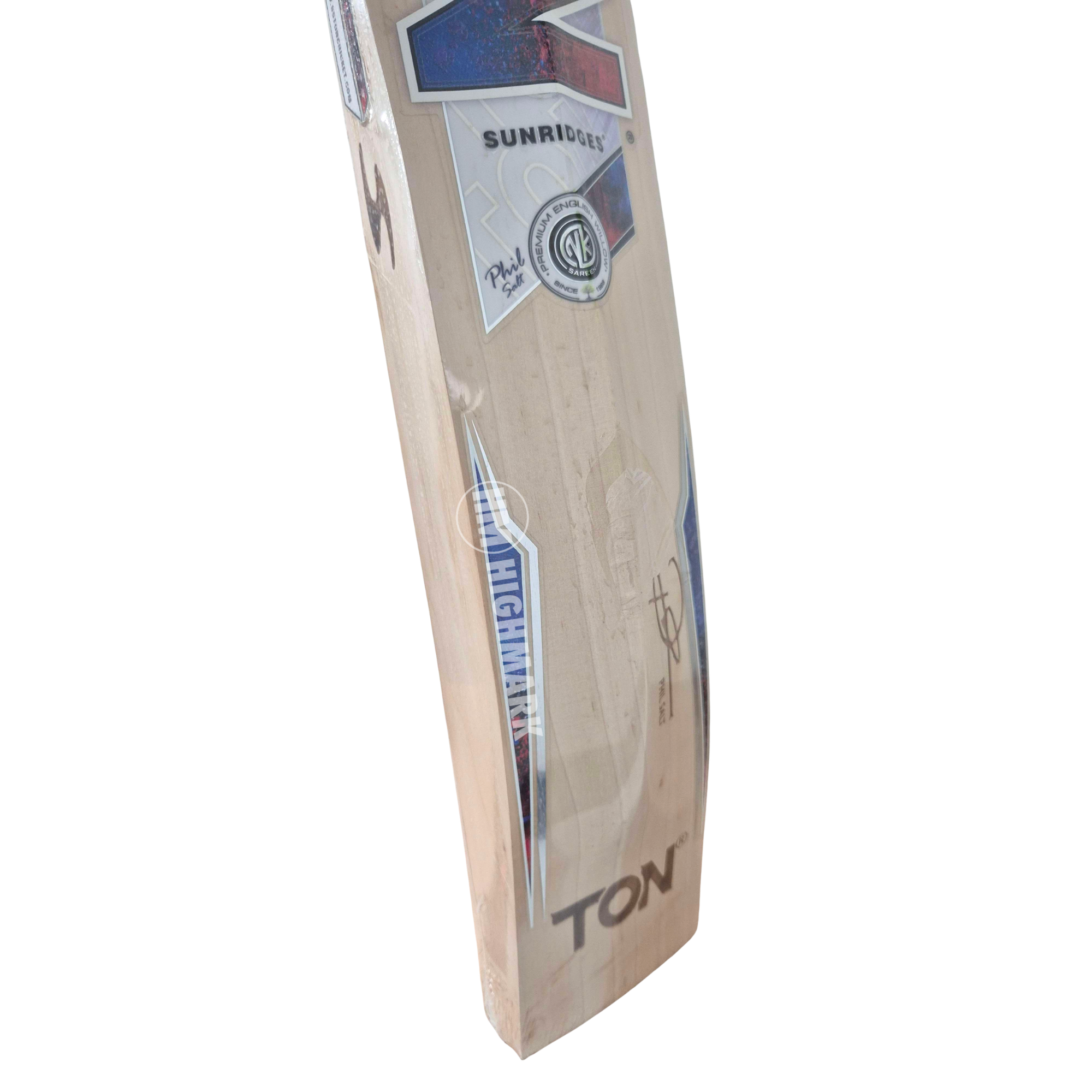 SS Phil Salt Gama Players Grade 3 English Willow Cricket Bat - Adult