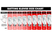 GRAY-NICOLLS GN 700 Batting Gloves - Small Adult