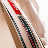 GRAY-NICOLLS GN Spectre Drive Premium Kashmir Willow Cricket Bat '25/26 - Short Handle