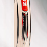 GRAY-NICOLLS GN Spectre Drive Premium Kashmir Willow Cricket Bat '25/26 - Short Handle