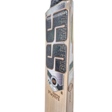 SS Tim David Gama Players Grade 3 English Willow Cricket Bat - Adult