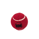 HM Prodigy Wooden Cricket Set for Kids - Ideal for Backyard Fun