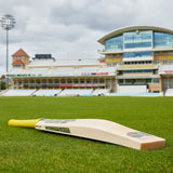 GUNN & MOORE GM Psyche 606 Delta L540 Grade 3 English Willow Cricket Bat - Senior Short Blade