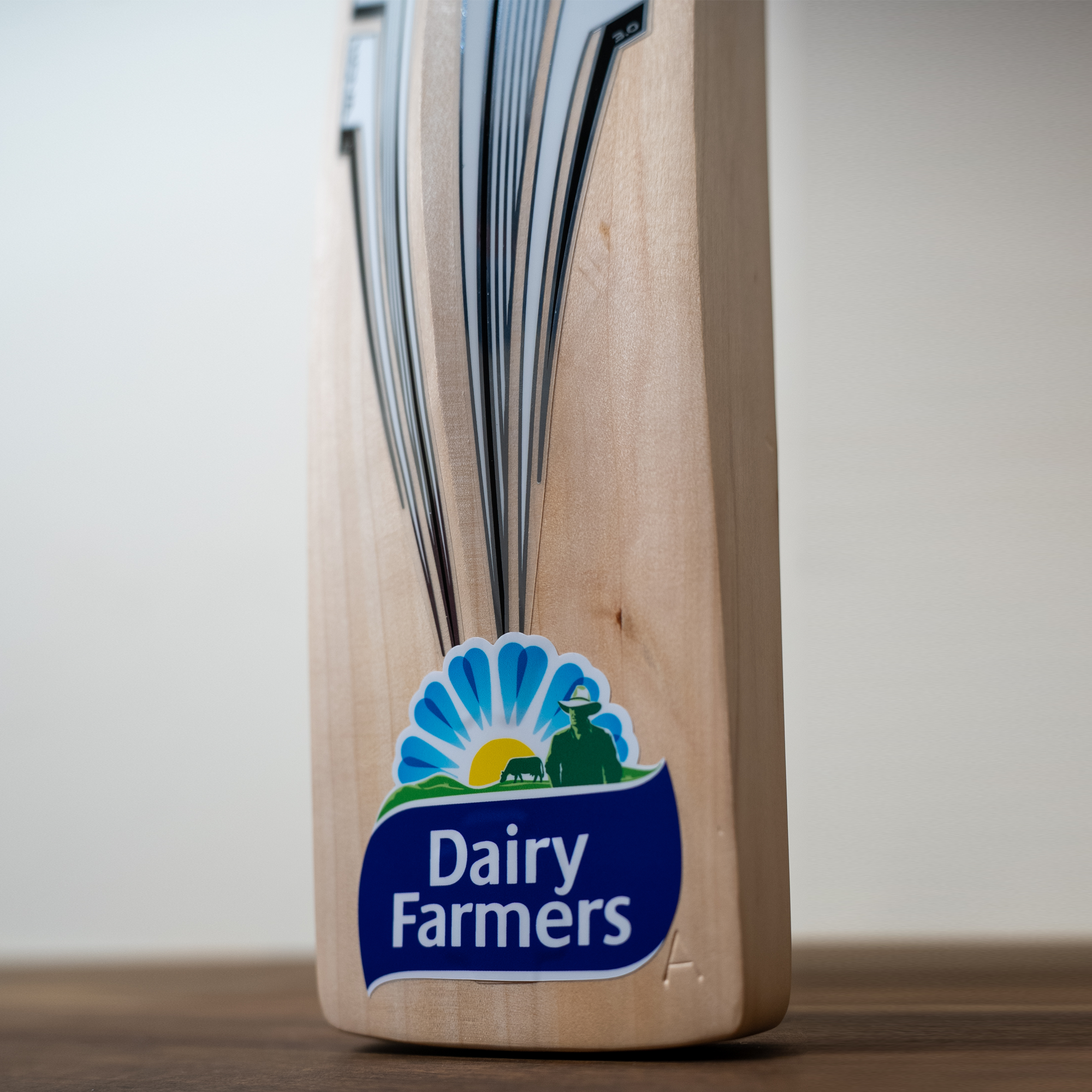 GRAY-NICOLLS GN Travis Head Nova TH123 Grade 1 English Willow Cricket Bat - Short Handle