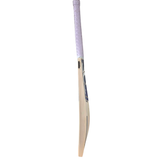 SCC Orion 765 English Willow Cricket Bat '26/27 - Adult