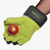 DSC Pearla 6000 Wicket Keeping Gloves