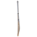SS Phil Salt Players Pro Grade 2+ English Willow Cricket Bat - Adult