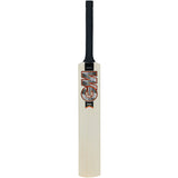 GUNN & MOORE GM Rival Cricket Set - Junior