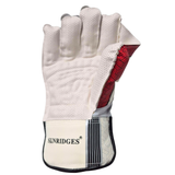 SS Dragon Wicket Keeping Gloves '25/26 [Sizes Junior - Adult]