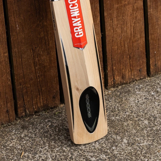 GRAY-NICOLLS GN Scoop Pro Balance 1100 Grade 2 English Willow Cricket Bat '24 - Short Handle