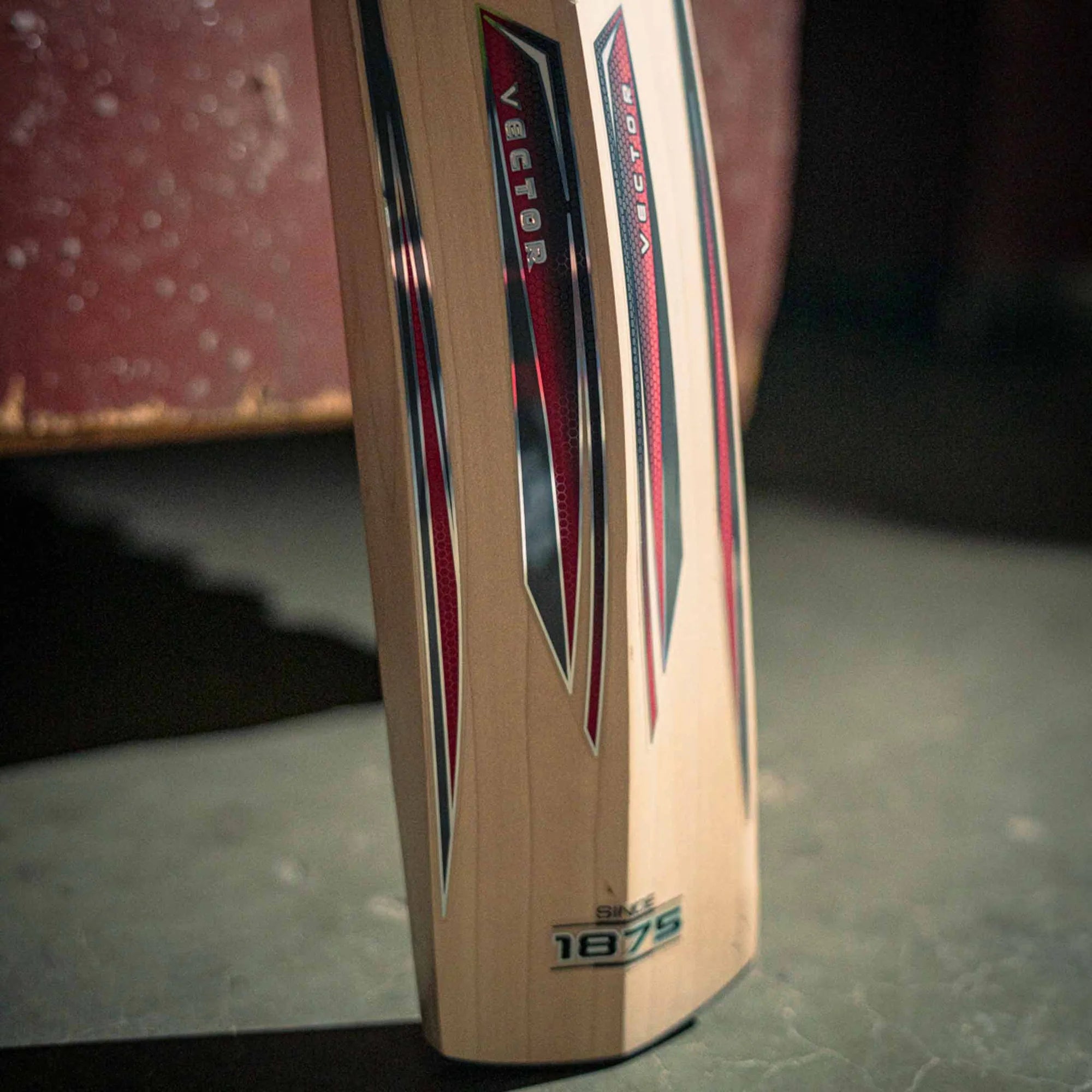 GRAY-NICOLLS GN Vector 1800 English Willow Cricket Bat '26/27 - Adult