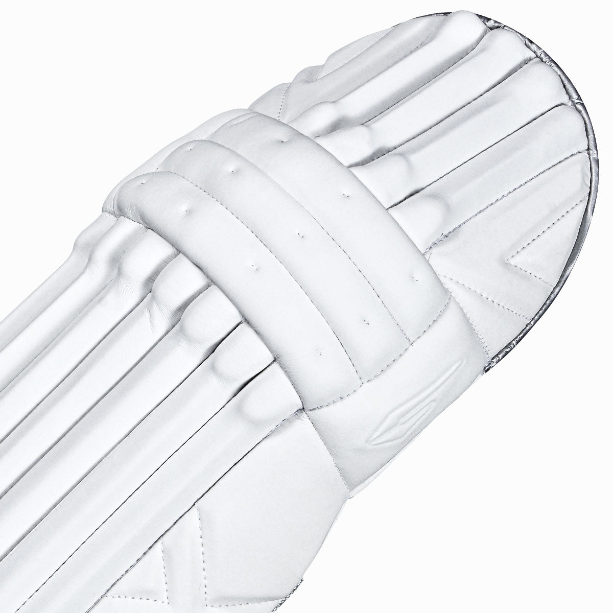 DSC Xlite L.E. Batting Leg Guards