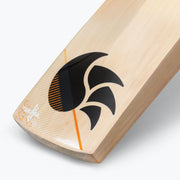 DSC Xlite 25 Grade 4 English Willow Cricket Bat '24 - Short Handle