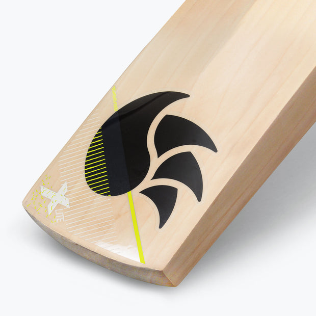 DSC Xlite 35 Grade 3 English Willow Cricket Bat '24 - Short Handle