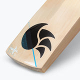DSC Xlite 75 Grade 1 English Willow Cricket Bat '24/25 - Short Handle