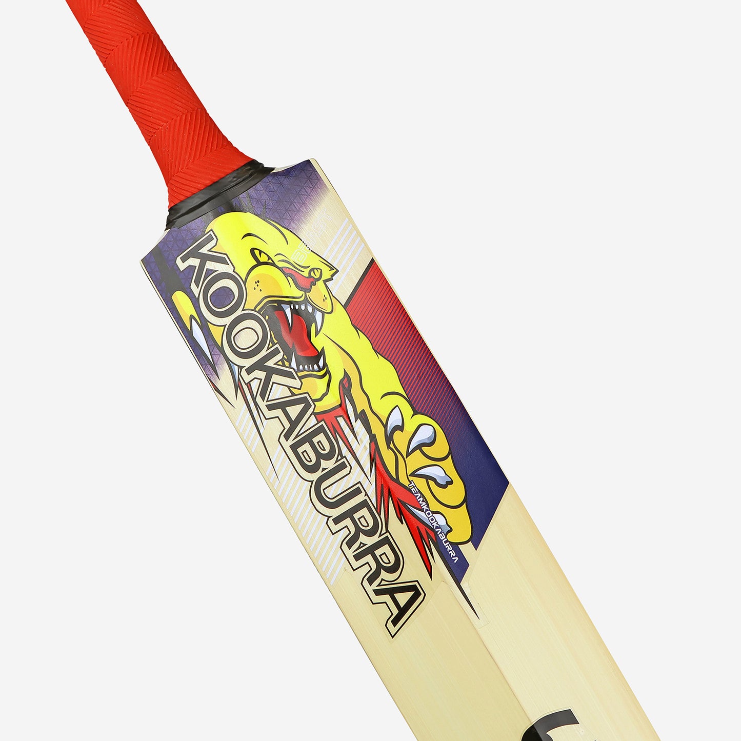 KOOKABURRA Beast Pro 9.0 Kashmir Willow Junior Cricket Bat '25/26 [Sizes 1 - Harrow]