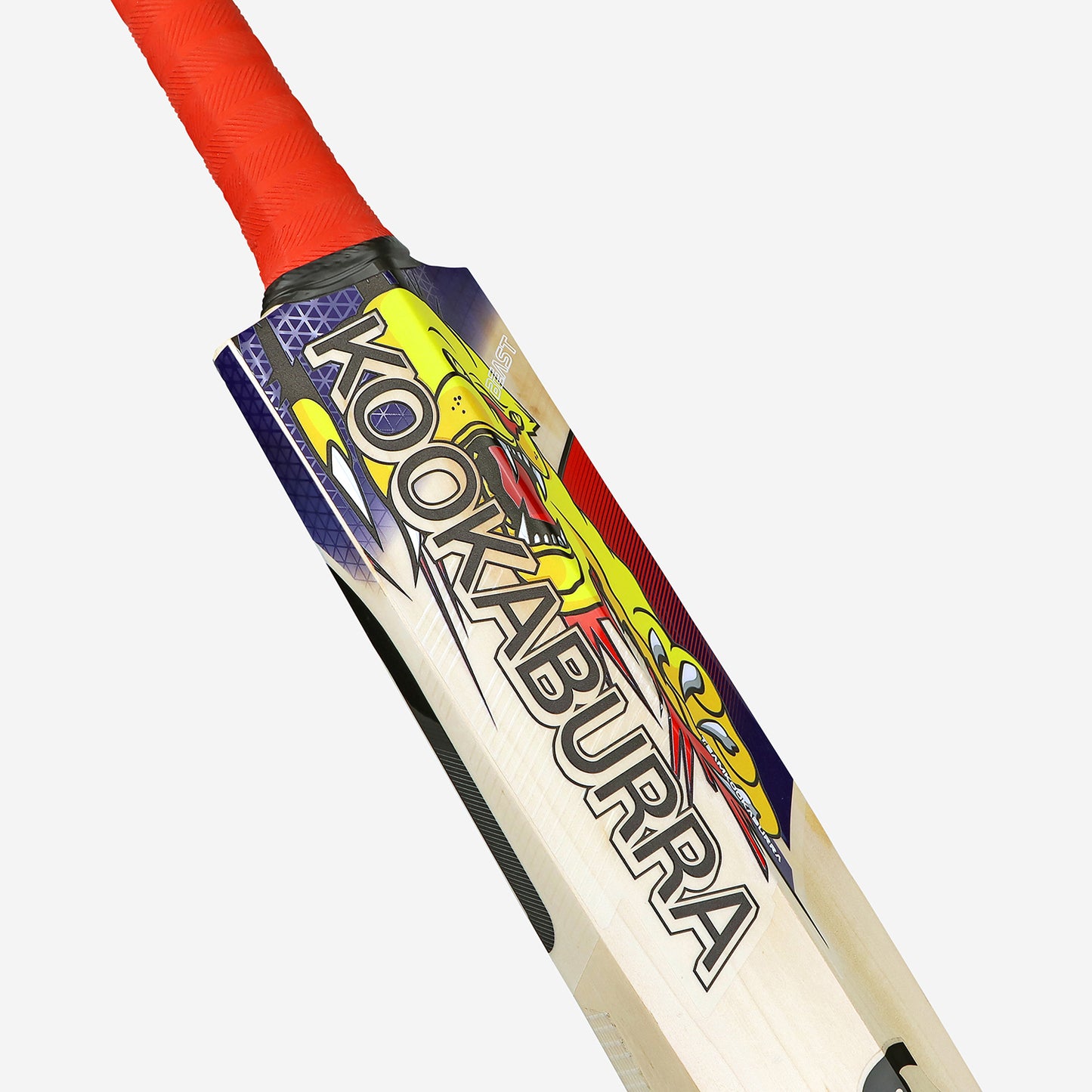 KOOKABURRA Beast Pro 6.0 Grade 6 English Willow Cricket Bat '25/26 - Short Handle