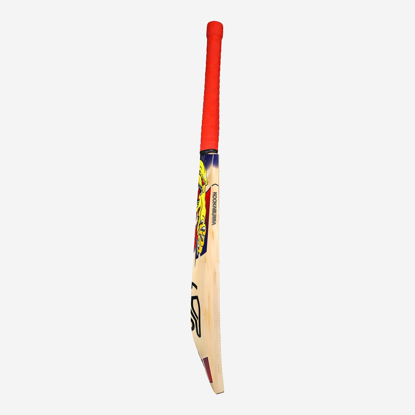 KOOKABURRA Beast Pro 6.0 Grade 6 English Willow Cricket Bat '25/26 - Short Handle