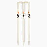DSC Bleached & Polished Stumps - 6 Stumps with Bails
