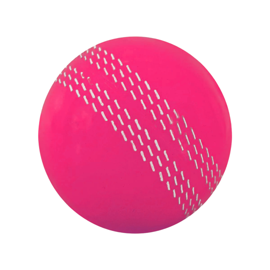 DSC Zoomer I-20 Cricket Ball