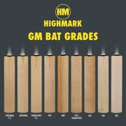 GUNN & MOORE GM Hypa 404 DXM L555 TTNOW Grade 3 English Willow Cricket Bat - Short Handle