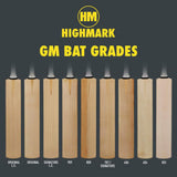 GUNN & MOORE GM Rival 606 L555 Grade 3 English Willow Cricket Bat '26/27 - Adult