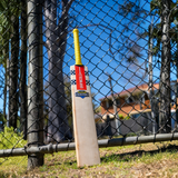 GRAY-NICOLLS GN Harry Brook Havoc Test Grade 1 English Willow Cricket Bat - Short Handle