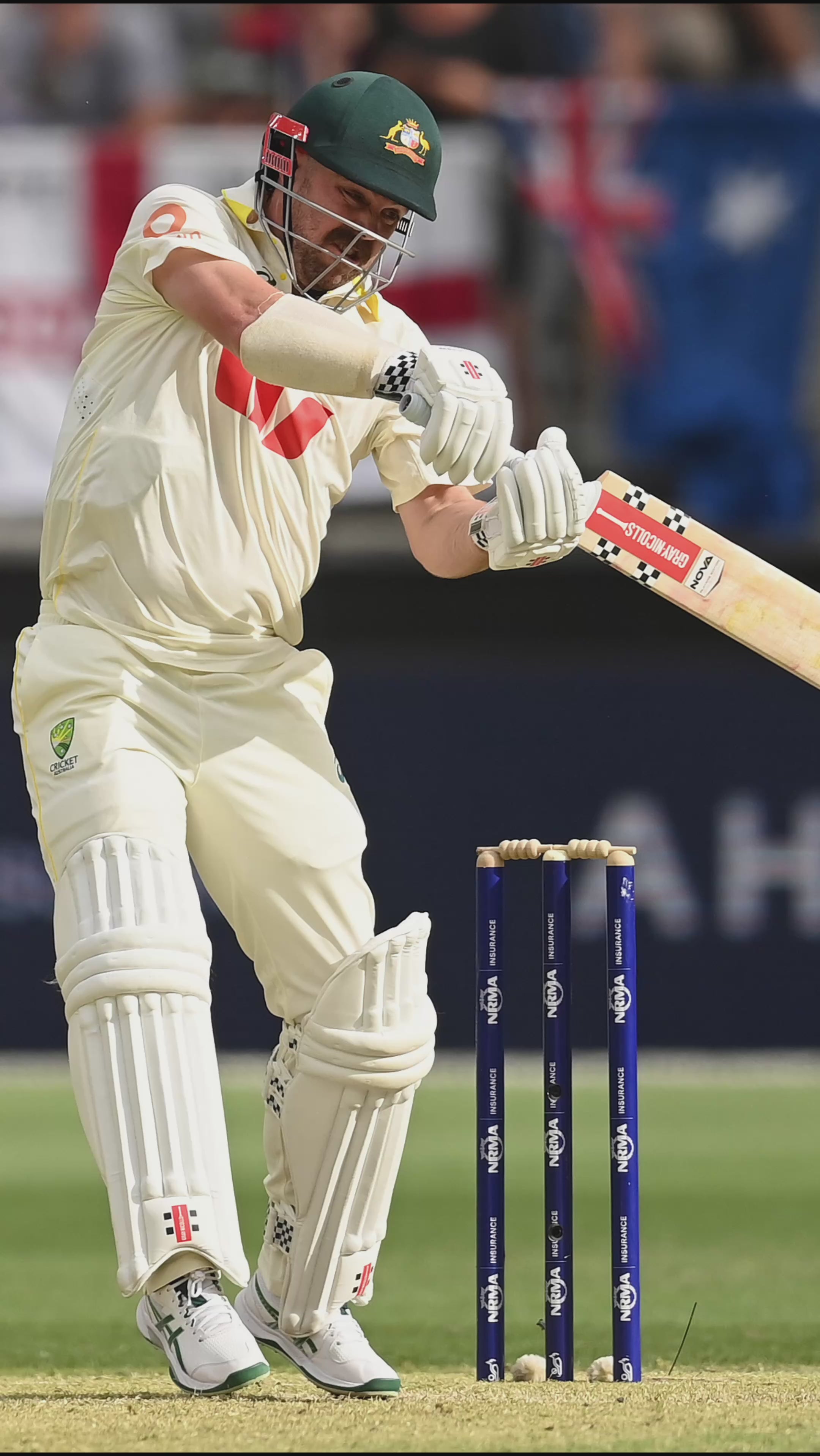 GRAY-NICOLLS GN Travis Head Nova TH123 Grade 1 English Willow Cricket Bat - Short Handle