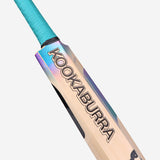 KOOKABURRA Prism Pro 7.0 English Willow Cricket Bat '25/26 - Small Adult