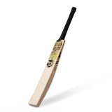 SS Premium Gold Kashmir Willow Cricket Bat '26/27 - Adult