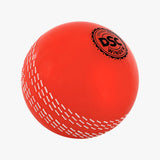 DSC Winger I-10 Cricket Ball