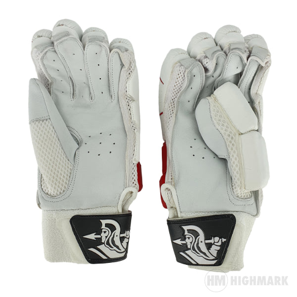 Spartan Sikander 5.0 Batting Gloves [EOL] - Highmark Cricket